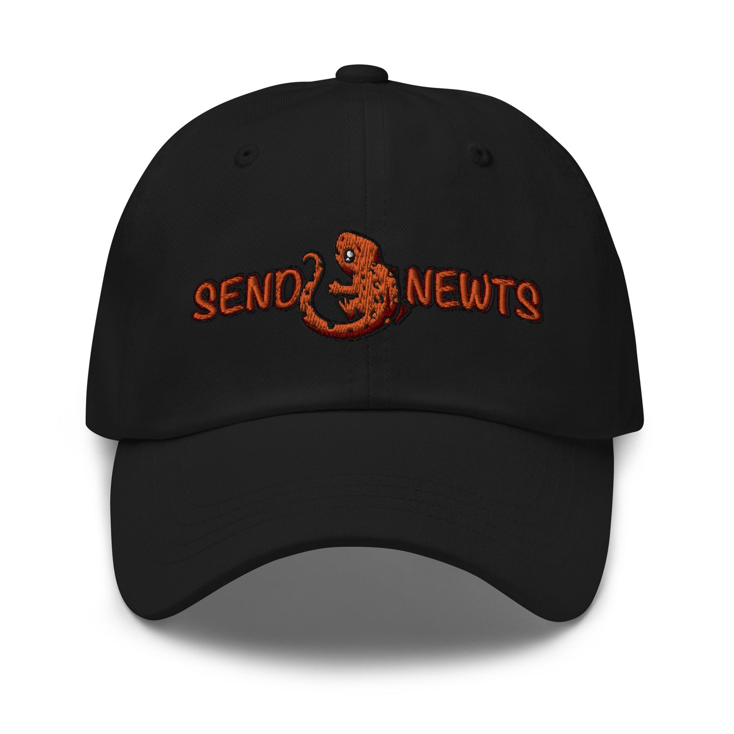 Send Newts Baseball Cap