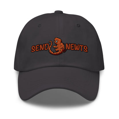 Send Newts Baseball Cap