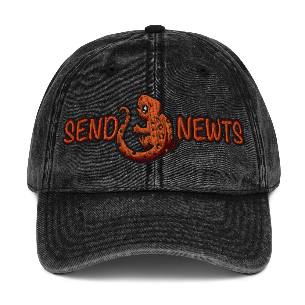 Send Newts Vintage Baseball Cap