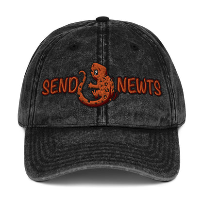 Send Newts Vintage Baseball Cap