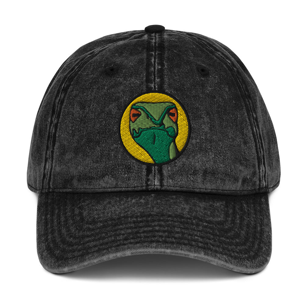 Judgmental Snake Vintage Baseball Cap