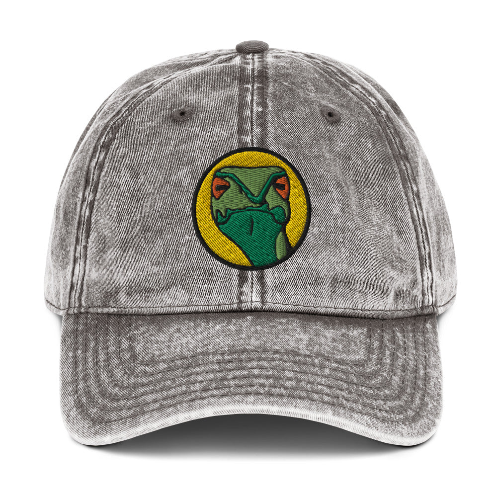 Judgmental Snake Vintage Baseball Cap