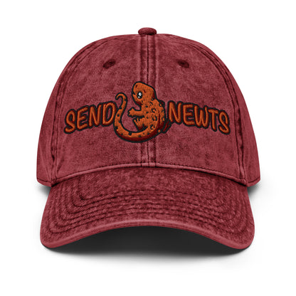 Send Newts Vintage Baseball Cap