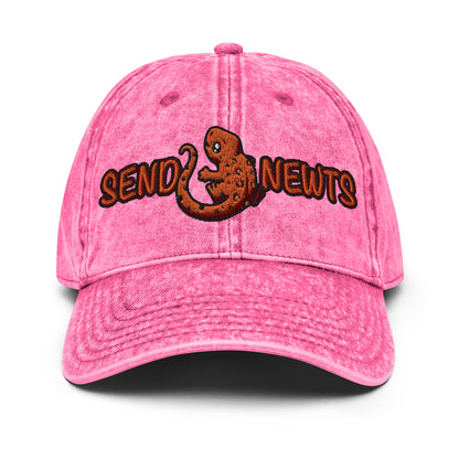 Send Newts Vintage Baseball Cap